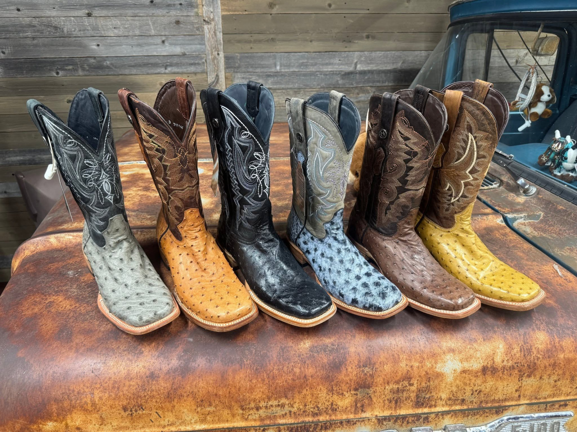 Exotic-skin cowboy boots on display in the store